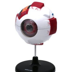 Fen Doğa Göz Modeli KD-9855
